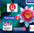 МФЦ Коми открыла  горячую линию по подключению к цифровому ТВ - Газета Сияние Севера