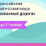 Олимпиада "Безопасные дороги" продлена до 27 ноября - Газета Сияние Севера
