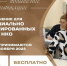 Обучение по программе "Эффективное управление деятельностью СОНКО" - Газета Сияние Севера