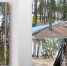Сколько построено жилья и дорог в 2023 году - Газета Сияние Севера