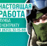 Куда обратиться для поступления на военную службу по контракту? - Газета Сияние Севера